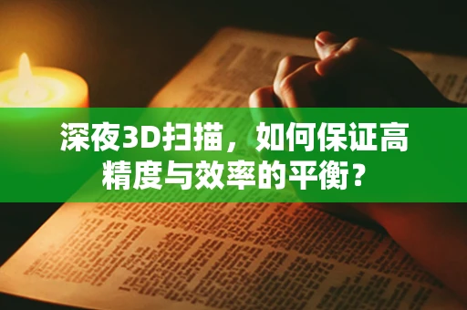 深夜3D扫描，如何保证高精度与效率的平衡？