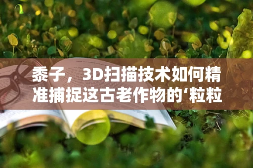 黍子，3D扫描技术如何精准捕捉这古老作物的‘粒粒’细节？