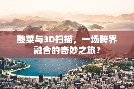 酸菜与3D扫描，一场跨界融合的奇妙之旅？