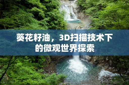 葵花籽油，3D扫描技术下的微观世界探索