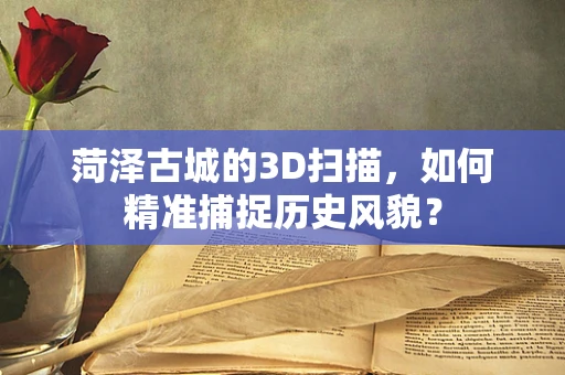 菏泽古城的3D扫描，如何精准捕捉历史风貌？