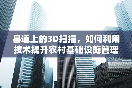 县道上的3D扫描，如何利用技术提升农村基础设施管理？