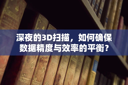 深夜的3D扫描，如何确保数据精度与效率的平衡？