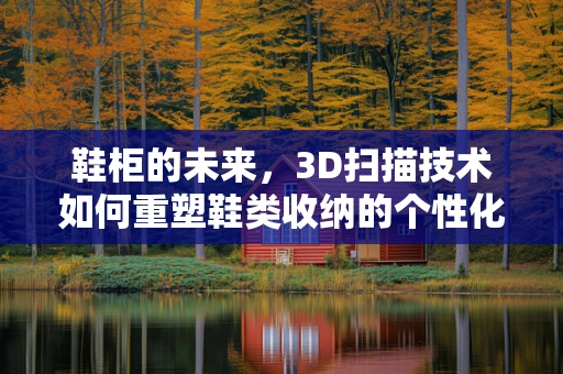 鞋柜的未来，3D扫描技术如何重塑鞋类收纳的个性化与智能化？