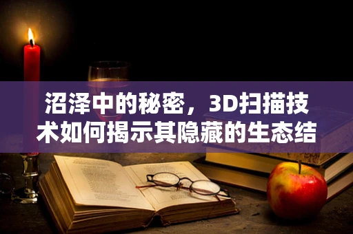 沼泽中的秘密，3D扫描技术如何揭示其隐藏的生态结构？