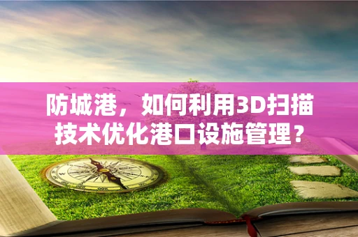 防城港，如何利用3D扫描技术优化港口设施管理？