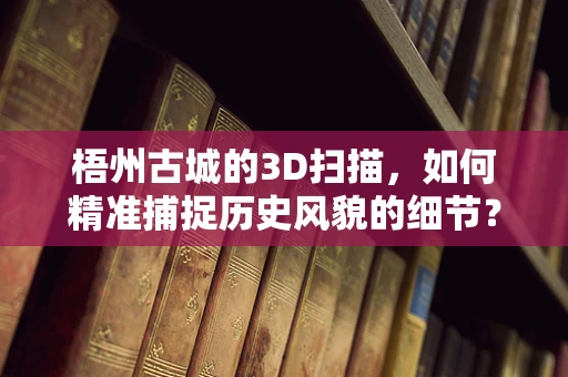 梧州古城的3D扫描，如何精准捕捉历史风貌的细节？