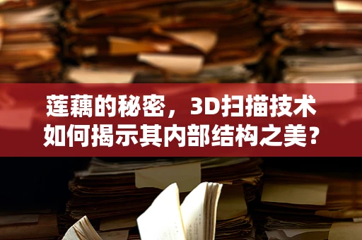 莲藕的秘密，3D扫描技术如何揭示其内部结构之美？