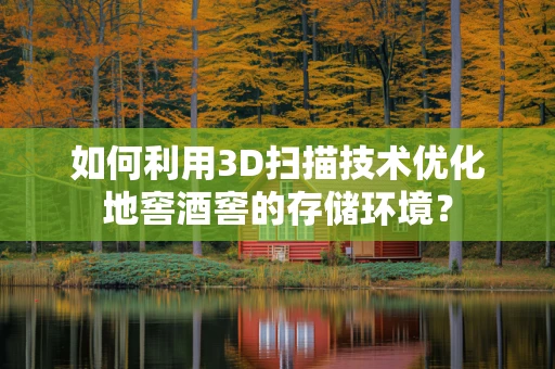 如何利用3D扫描技术优化地窖酒窖的存储环境？