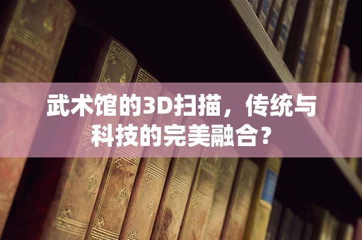 武术馆的3D扫描，传统与科技的完美融合？