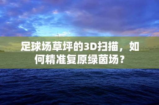 足球场草坪的3D扫描，如何精准复原绿茵场？