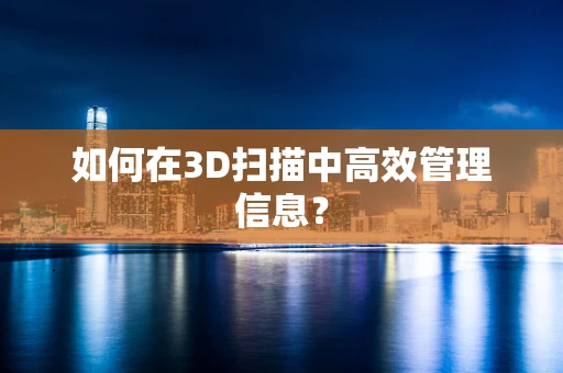 如何在3D扫描中高效管理信息？