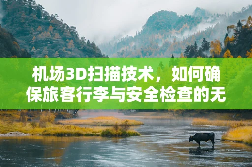 机场3D扫描技术，如何确保旅客行李与安全检查的无缝对接？