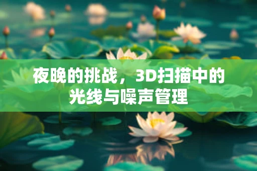 夜晚的挑战，3D扫描中的光线与噪声管理