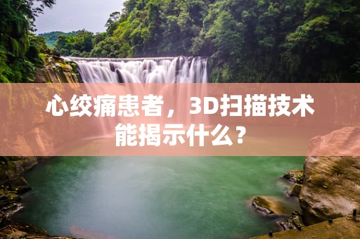 心绞痛患者，3D扫描技术能揭示什么？