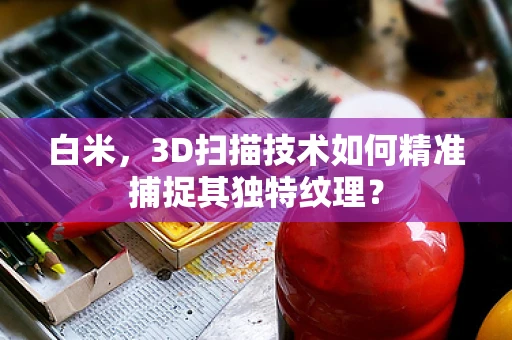 白米，3D扫描技术如何精准捕捉其独特纹理？