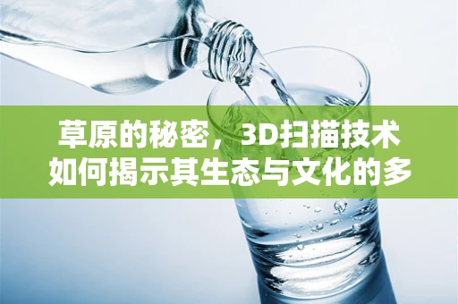 草原的秘密，3D扫描技术如何揭示其生态与文化的多样性？