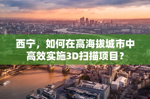 西宁，如何在高海拔城市中高效实施3D扫描项目？