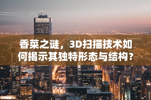 香菜之谜，3D扫描技术如何揭示其独特形态与结构？