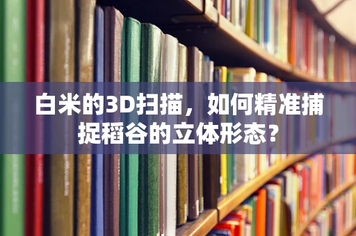 白米的3D扫描，如何精准捕捉稻谷的立体形态？