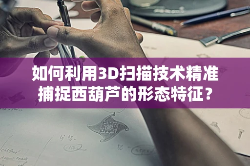 如何利用3D扫描技术精准捕捉西葫芦的形态特征？